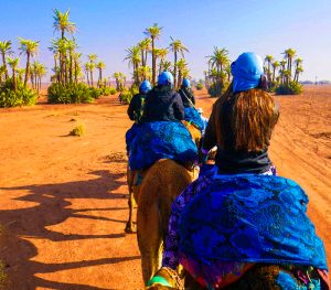 Marrakech and nearby highlights — Morocco Tours Morocco